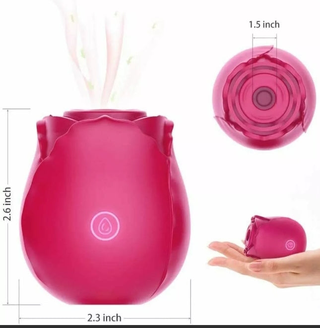 Rose Explosion sale